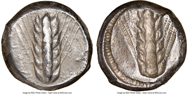 LUCANIA. Metapontum. Ca. 470-440 BC. AR stater (18mm, 7.32 gm, 1h). NGC Choice V...