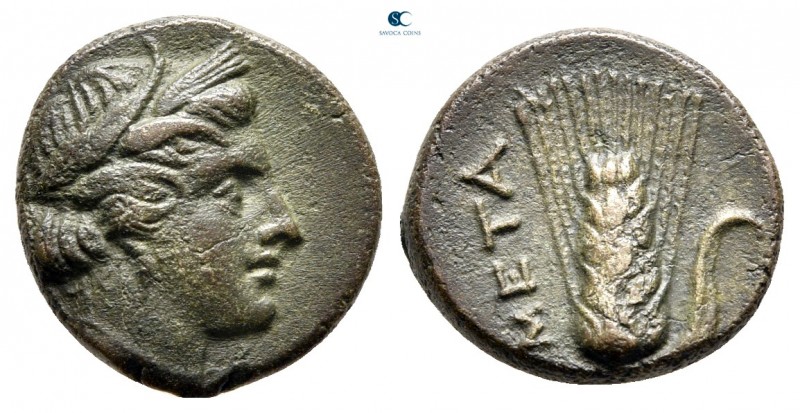 Lucania. Metapontion circa 425-350 BC. 
Bronze Æ

15 mm., 2,86 g.



very...