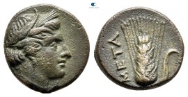 Lucania. Metapontion circa 425-350 BC. Bronze Æ