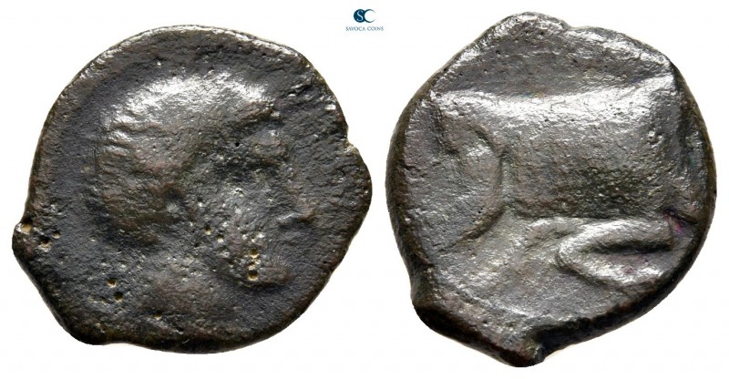 Sicily. Agyrium circa 420-405 BC. 
Hemilitron Æ

18 mm., 3,03 g.



nearl...