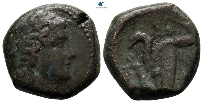 Sicily. Akragas. Phintias. Tyrant 287-279 BC. 
Bronze Æ

20 mm., 7,02 g.

...