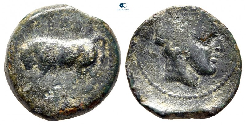 Sicily. Gela circa 420-405 BC. 
Tetras Æ

18 mm., 4,28 g.



nearly very ...