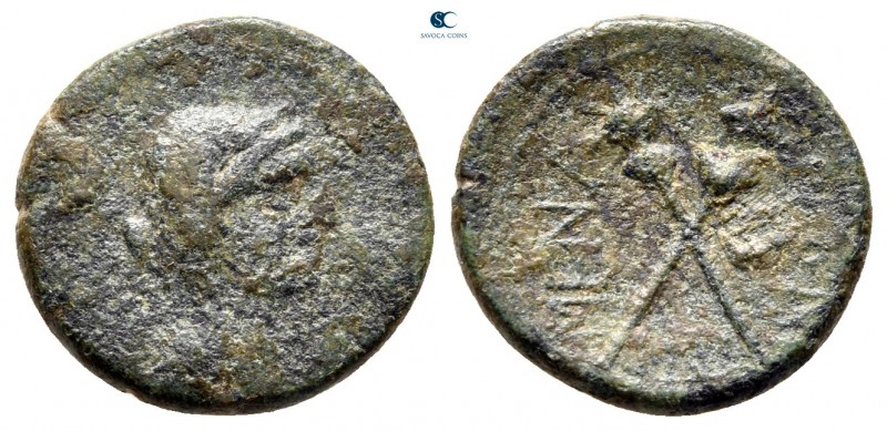 Sicily. Menainon circa 200-150 BC. 
Trias Æ

17 mm., 2,83 g.



fine