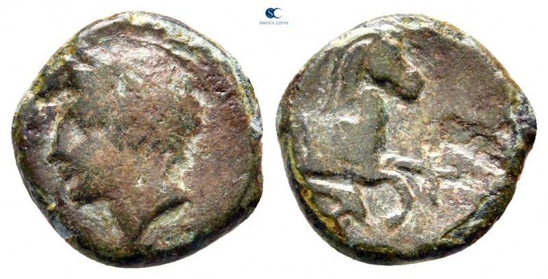 Sicily. Solus circa 406-397 BC. 
Bronze Æ

13 mm., 1,96 g.



nearly very...
