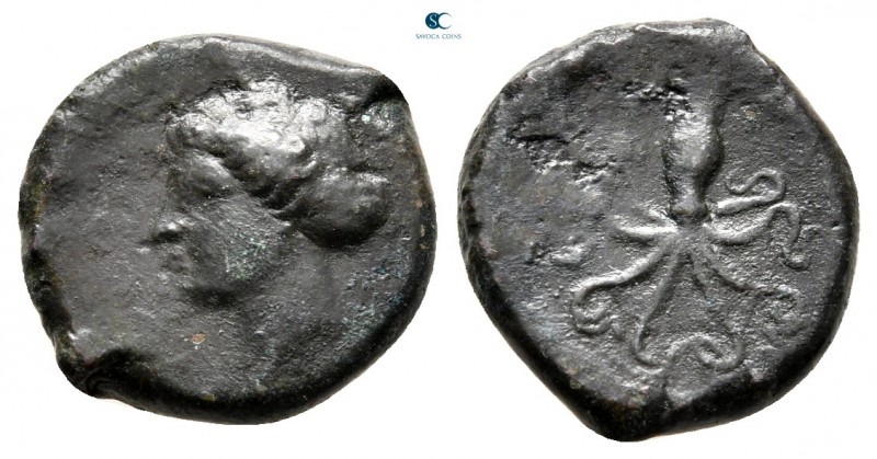 Sicily. Syracuse circa 435-415 BC. 
Tetras Æ

15 mm., 2,65 g.



very fin...