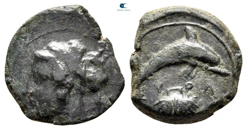 Sicily. Syracuse 415-405 BC. 
Hemilitron Æ

17 mm., 2,92 g.



very fine