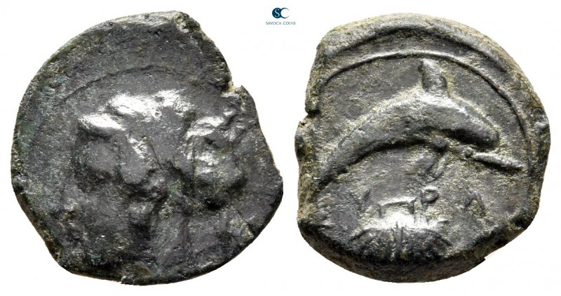 Sicily. Syracuse 415-405 BC. 
Hemilitron Æ

17 mm., 2,92 g.



very fine