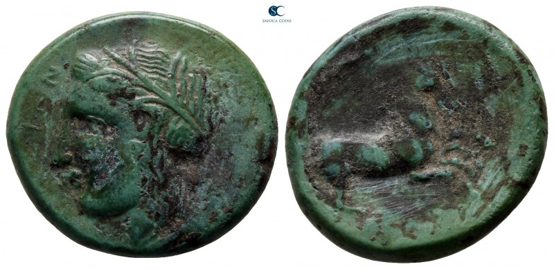 Sicily. Syracuse circa 295-278 BC. 
Bronze Æ

21 mm., 6,67 g.



nearly v...