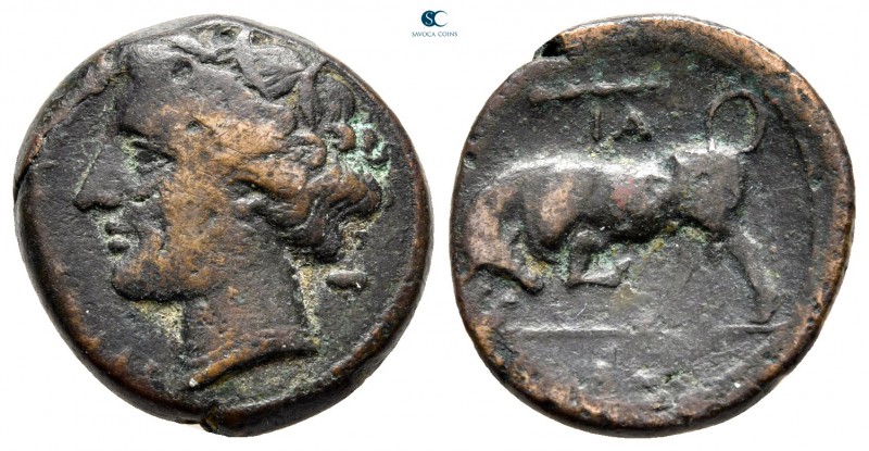 Sicily. Syracuse. Hieron II 275-215 BC. 
Bronze Æ

20 mm., 6,28 g.



ver...