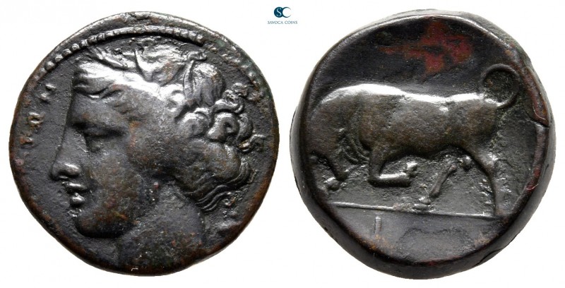 Sicily. Syracuse. Hieron II 275-215 BC. 
Bronze Æ

18 mm., 6,04 g.



ver...