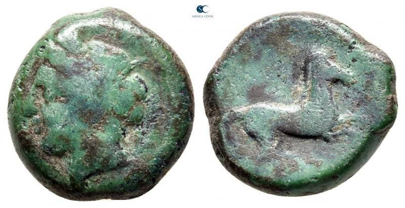 Sicily. Uncertain Punic mint circa 400-350 BC. 
Bronze Æ

17 mm., 6,19 g.

...
