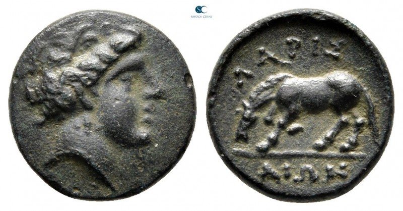 Thessaly. Larissa circa 320-290 BC. 
Bronze Æ

14 mm., 2,02 g.



very fi...