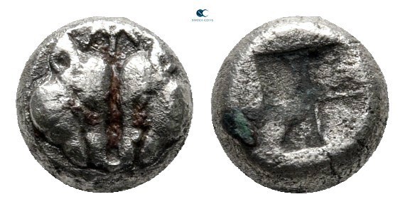 Lesbos. Uncertain mint circa 500-450 BC. 
Obol BI

6 mm., 0,69 g.



very...