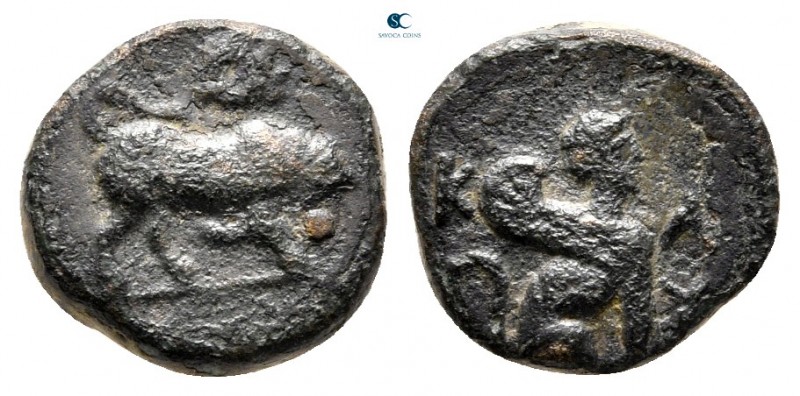 Caria. Kaunos circa 300-250 BC. 
Bronze Æ

10 mm., 1,71 g.



very fine