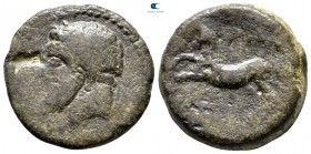Kings of Numidia. Massinissa or Micipsa 203-118 BC. Bronze Æ