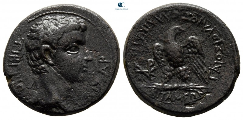 Phrygia. Apameia. Tiberius AD 14-37. Gaios Ioulios Kallikles, magistrate
Bronze...