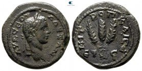 Cappadocia. Caesarea. Severus Alexander AD 222-235. Bronze Æ