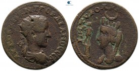 Mesopotamia. Carrhae. Gordian III AD 238-244. Bronze Æ