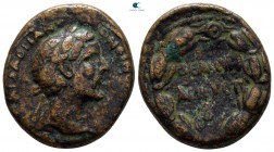 Cyrrhestica. Hierapolis. Antoninus Pius AD 138-161. Bronze Æ