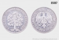 Weimarer Republik, 5 Reichsmark 1927 F, Eichbaum, 500er Silber. 24,93 g; 36 mm. AKS 25; Jaeger 331. Fast vorzüglich.