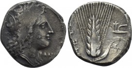 LUCANIA. Metapont. Didrachm (Circa 330-290  BC).