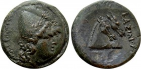 KINGS OF SKYTHIA. Ailis (2nd century BC). Ae.