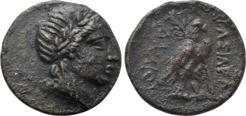 SELEUKID KINGDOM. Achaios (Usurper, 220-214 BC). Ae. Sardes. 

Obv: Laureate h...