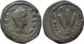 CAPPADOCIA. Caesarea. Severus Alexander (222-235). Ae. Dated RY 6 (226/7).