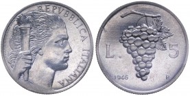 5 Lire "Uva" 1946 - Data Piccola - R/colpetto sul bordo ma esemplare di grande qualità e insolita freschezza - RRR RARISSIMA - Perizia Giovanni Gauden...