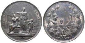 Torino - Esposizione Generale Italiana 1884 gr.56,77 Ø mm53