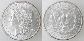 USA. Dollaro Morgan 1902 O. Ag.