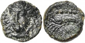 SICILE, HIMERA, AE bronze, avant 407 av. J.-C. D/ T. de nymphe de trois quarts de f. à g. R/ Crevette à g. sous six globules. En dessous, IME. SNG ANS...