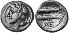 SICILE, LEONTINOI, onkia, 405-402 av. J.-C. D/ T. l. d''Apollon à g. Derrière, araire. R/ Deux poissons. A l''ex., . Calciati 17; Mini 17. 1,84g Pati...