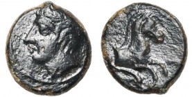 SICILE, PANORMOS, AE bronze, vers 300 av. J.-C. D/ T. l. d''Apollon à g. R/ Protome de Pégase à d. En dessous, dauphin à d. SNG ANS -; Calciati 12. 2,...