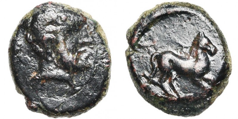 SICILE, SOLUS, AE bronze, 300-241 av. J.-C. D/ T. barbue d''Héraclès à d. R/ Che...