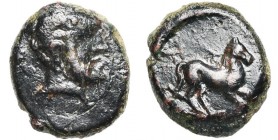 SICILE, SOLUS, AE bronze, 300-241 av. J.-C. D/ T. barbue d''Héraclès à d. R/ Cheval galopant à d. SNG ANS 744; Calciati 16. 3,54g Patine brun foncé.
...