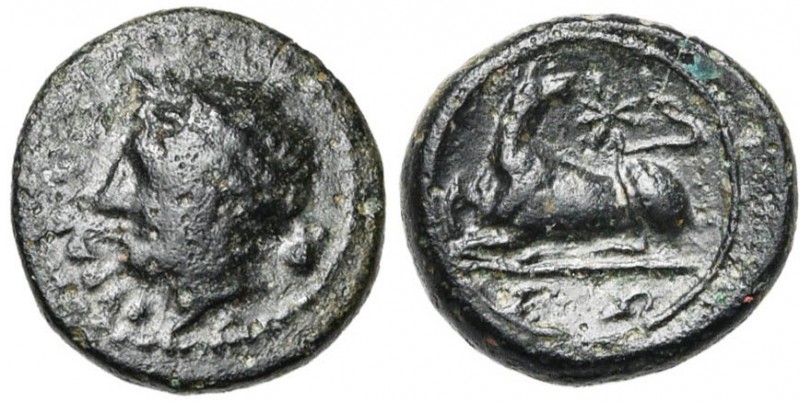 SICILE, SYRACUSE, Agathoclès (317-289), AE petit bronze. D/ ΣYPAKOΣΙΩN T. l. d''...