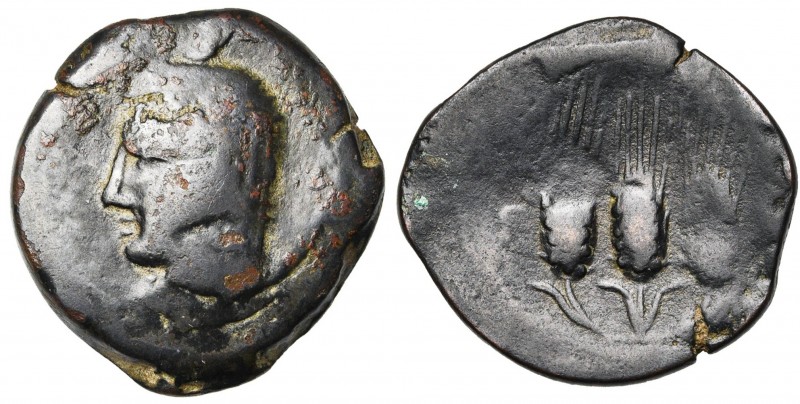 EMISSIONS SICULO-PUNIQUES, AE bronze, 241-238 av. J.-C., Sardaigne. D/ T. voilée...