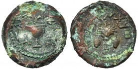 JUDEE, Première révolte contre Rome (66-70), AE bronze, 69, Jérusalem. D/ Calice. R/ Lulav (palme) entre deux ethrogs (citrons). Sur le tour, an 4. Me...