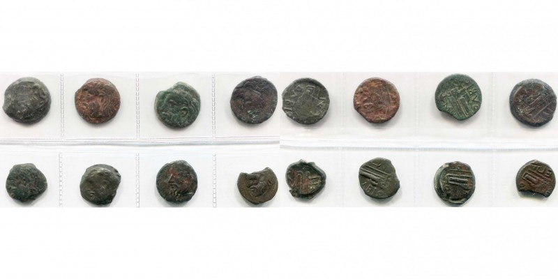 LITTORAL DE LA MER NOIRE, OLBIA, lot de 8 bronzes, 330-250 av. J.-C., D/ T. du d...