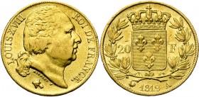 FRANCE, Louis XVIII, seconde restauration (1815-1824), AV 20 francs, 1819A, Paris. Gad. 1028; Fr. 538. Nettoyé.
B à TB