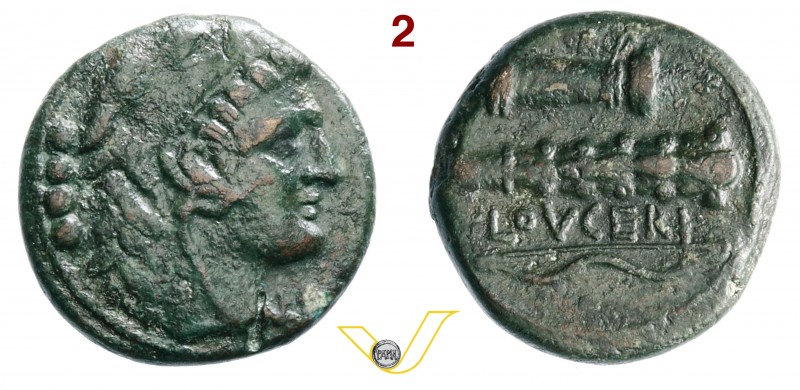 APULIA - Luceria (211-200 a.C.) Triens. D/ Testa di Eracle con pelle leonina R/ ...