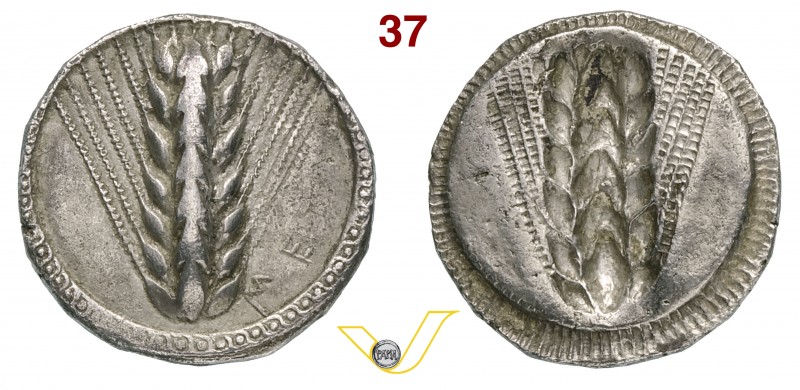 LUCANIA - Metapontum (540-525 a.C.) Statere. D/ Spiga d'orzo in rilievo e a d. M...