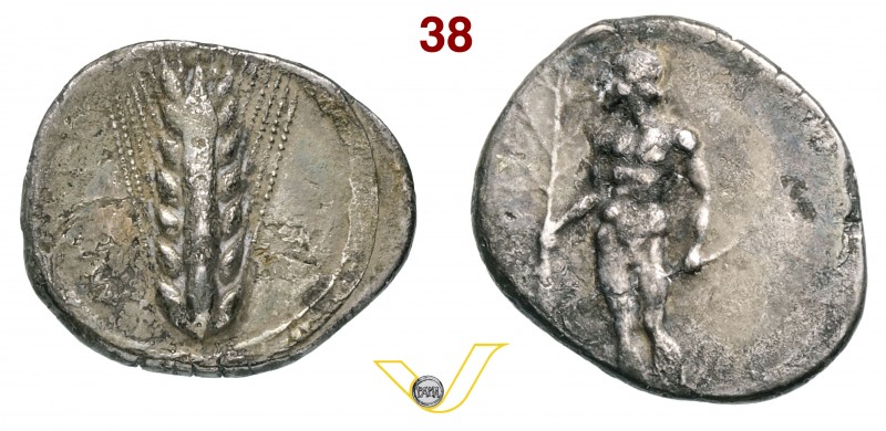LUCANIA - Metapontum (440-430 a.C.) Statere. D/ Spiga d'orzo R/ Apollo con ramo ...