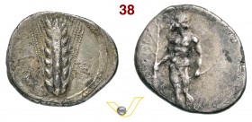 LUCANIA - Metapontum (440-430 a.C.) Statere. D/ Spiga d'orzo R/ Apollo con ramo e arco. SNG ANS 277 Mont. 2239 Ag g 7,67 • Ex Negrini, asta 29 del 04....