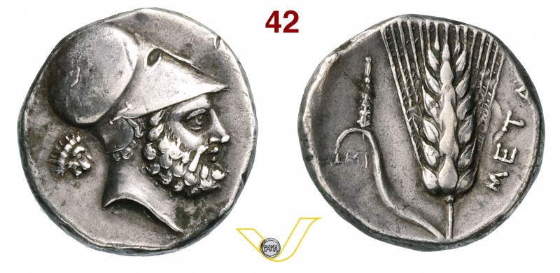 LUCANIA - Metapontum (340-330 a.C.) Statere. D/ Testa elmata di Leucippo; a s. p...