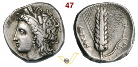 LUCANIA - Metapontum (330-290 a.C.) Statere. D/ Testa di Demetra R/ Spiga d'orzo; sulla foglia un tridente. Noe-Johston C 5.9 Ag g 7,82 • Ex Astarte, ...