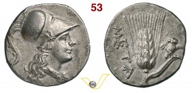 LUCANIA - MetapontumOccupazione Punica (215-207 a.C.) Mezzo Shekel. D/ Testa elmata di Athena R/ Spiga d'orzo; sulla foglia una civetta. SNG ANS 550 H...