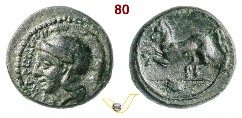 SICILIA - Kamarina (339-317 a.C.) Ae. D/ Testa elmata di Athena R/ Cavallo al ga...