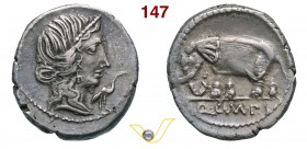 CAECILIA - Q. Caecilius Metellus Pius Imperator (81 a.C.) Denario. D/ Testa della Pietà; davanti una cicogna R/ Elefante. B. 43 Syd. 750 Cr. 374/1 A.V...